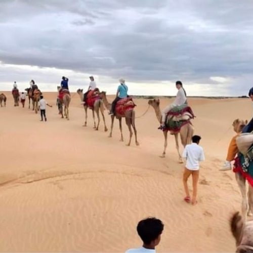 Camel Safari Ride